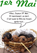 Chiots endormis pour un 1er Mai doux